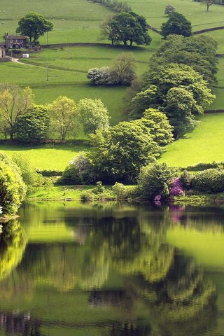 Обои озеро, зелень, отражение, lake, greens, reflection разрешение 2560x1600 Загрузить