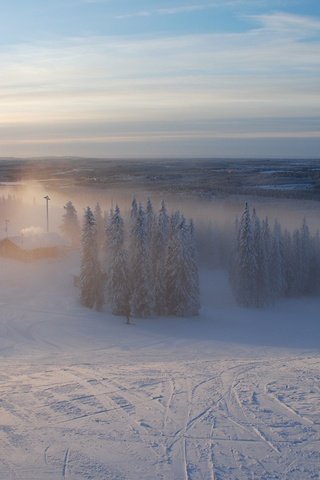 Обои лес, зима, туман, лыжня, forest, winter, fog, trails разрешение 1920x1200 Загрузить