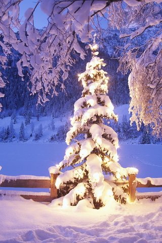 Обои огни, снег, елка, зима, lights, snow, tree, winter разрешение 1992x1333 Загрузить