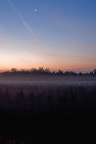 Обои туман, поле, луна, fog, field, the moon разрешение 1920x1440 Загрузить