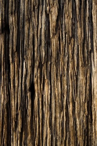 Обои дерево, текстура, доска, обоя, древесина, красивая, tree, texture, board, wallpaper, wood, beautiful разрешение 2048x1122 Загрузить