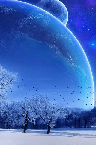 Обои небо, деревья, зима, луна, голубой, the sky, trees, winter, the moon, blue разрешение 1920x1200 Загрузить