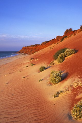 Обои песок, склон, океан, sand, slope, the ocean разрешение 1920x1200 Загрузить