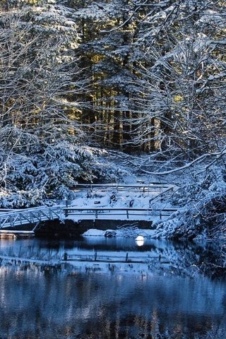 Обои деревья, вода, озеро, снег, зима, мост, trees, water, lake, snow, winter, bridge разрешение 1920x1080 Загрузить