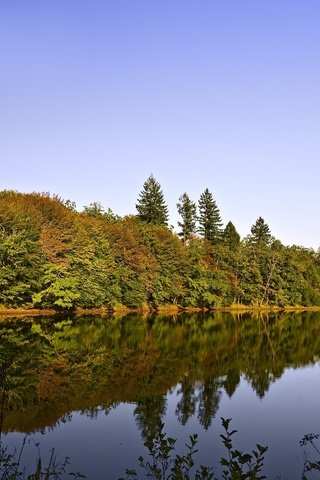 Обои небо, деревья, река, природа, обои, пейзаж, вид, на природе, the sky, trees, river, nature, wallpaper, landscape, view разрешение 2500x1667 Загрузить