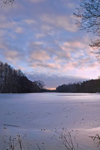 Обои деревья, река, природа, зима, наледь, trees, river, nature, winter, frost разрешение 1920x1200 Загрузить