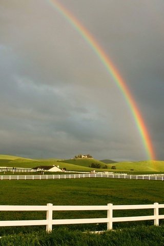 Обои поле, забор, радуга, field, the fence, rainbow разрешение 1920x1200 Загрузить