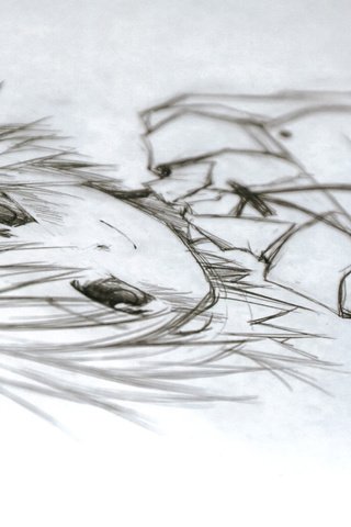 Обои рисунок, карандашный рисунок, hidamari sketch, yuno, figure, pencil drawing разрешение 1920x1200 Загрузить
