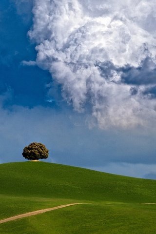 Обои облака, дерево, холм, clouds, tree, hill разрешение 2200x1650 Загрузить