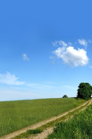 Обои небо, дорога, природа, зелень, поле, the sky, road, nature, greens, field разрешение 2560x1600 Загрузить