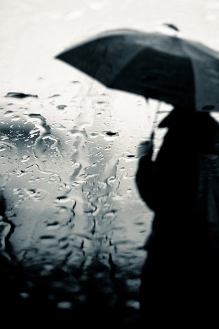 Обои человек, разводы, плащ, дождь, зонт, стекло, слякоть, уныло, people, divorce, cloak, rain, umbrella, glass, slush, sadly разрешение 1920x1200 Загрузить
