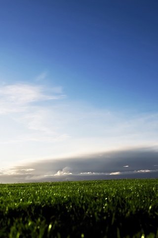 Обои небо, трава, облака, поле, the sky, grass, clouds, field разрешение 2560x1600 Загрузить