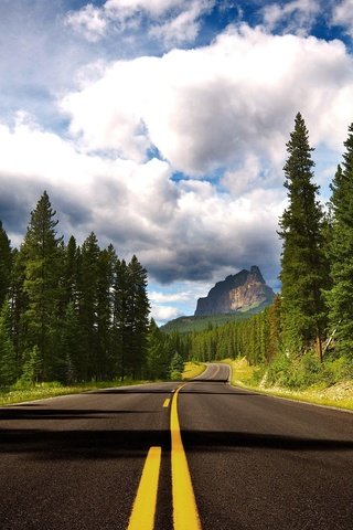 Обои дорога, деревья, горы, лес, разметка, road, trees, mountains, forest, markup разрешение 2560x1600 Загрузить