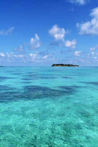 Обои небо, облака, пальмы, океан, остров, тропики, остроп, the sky, clouds, palm trees, the ocean, island, tropics, ostrop разрешение 1920x1200 Загрузить