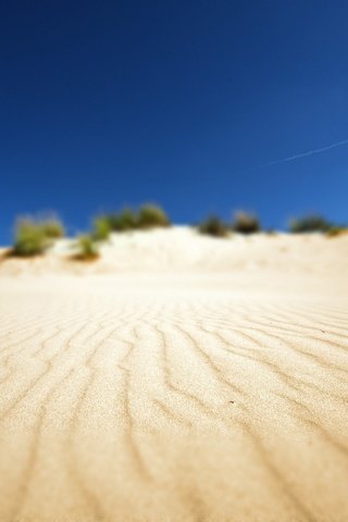 Обои фото, песок, пляж, пустыня, пейзажи, африка, photo, sand, beach, desert, landscapes, africa разрешение 1920x1200 Загрузить