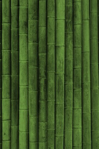 Обои обои, текстуры, бамбук, texture wallpapers, green style, wallpaper, texture, bamboo разрешение 2560x1600 Загрузить