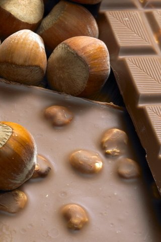 Обои шоколад, плитка, фундук, chocolate, tile, hazelnuts разрешение 1920x1200 Загрузить