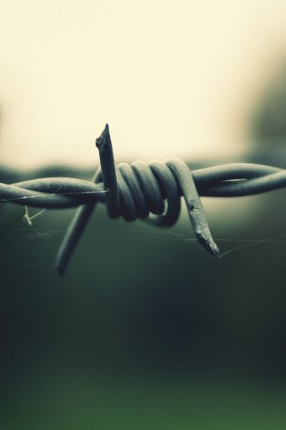 Обои проволока, размытость, паутина, колючая проволока, колючка, wire, blur, web, barbed wire, thorn разрешение 1920x1080 Загрузить