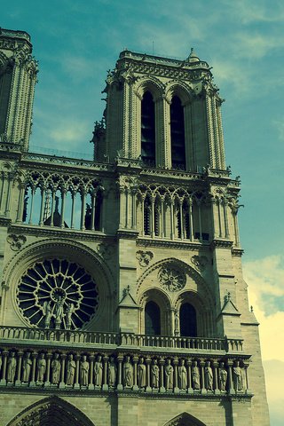 Обои париж, собор парижской богоматери, нотр-дам де пари, paris, notre dame cathedral, notre dame de paris разрешение 1920x1200 Загрузить