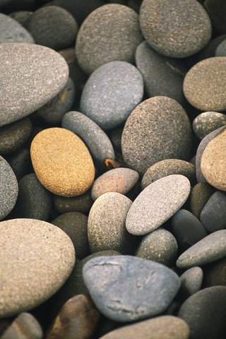 Обои камни, галька, макро, камешки, stones, pebbles, macro разрешение 2560x1600 Загрузить