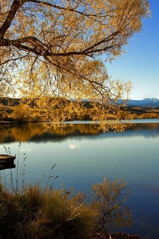 Обои озеро, новая зеландия, alexandrina, lake, new zealand разрешение 1920x1200 Загрузить