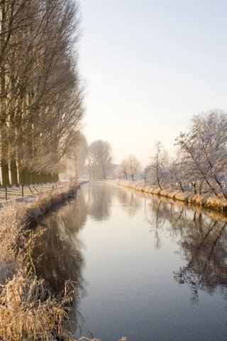 Обои деревья, снег, зима, канал, аллея, trees, snow, winter, channel, alley разрешение 1920x1200 Загрузить