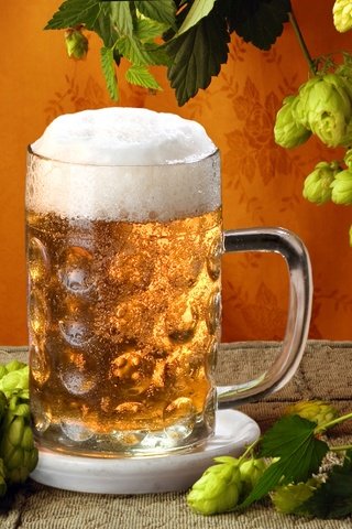 Обои кружка, пиво, солод, mug, beer, malt разрешение 2521x1856 Загрузить