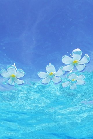 Обои цветы, вода, глубина, прозрачная, flowers, water, depth, transparent разрешение 1920x1200 Загрузить