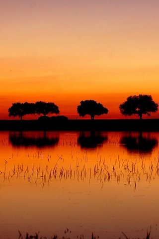 Обои деревья, озеро, закат, отражение, trees, lake, sunset, reflection разрешение 1920x1200 Загрузить