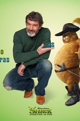 Обои кот, шрек, антонио бандерос, cat, shrek, antonio banderos разрешение 1920x1080 Загрузить