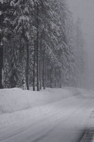 Обои дорога, снег, зима, ельник, road, snow, winter, spruce forest разрешение 2560x1024 Загрузить