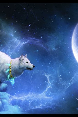 Обои звезды, планеты, белый, волк, мистика, stars, planet, white, wolf, mystic разрешение 2882x1871 Загрузить