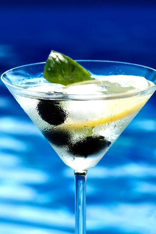 Обои мята, коктейль, оливки, ломтик лимона, mint, cocktail, olives, a slice of lemon разрешение 2560x1600 Загрузить