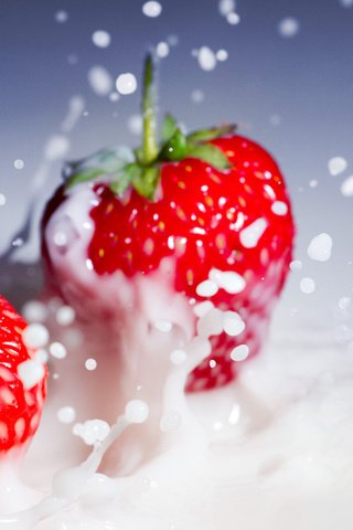 Обои макро, клубника, брызги, ягоды, сливки, macro, strawberry, squirt, berries, cream разрешение 1920x1080 Загрузить