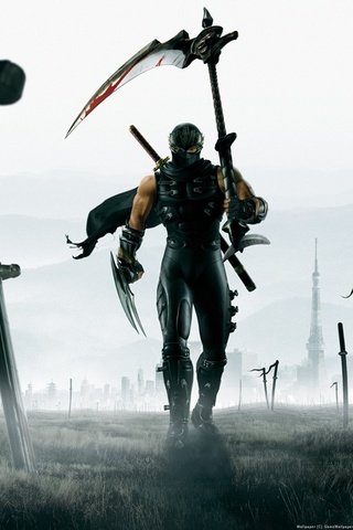 Обои арт, герои, воин, ninja gaiden 2, катаны, поле, битва, ниндзя, плащ, коса, мечи, art, heroes, warrior, katana, field, battle, ninja, cloak, braid, swords разрешение 1920x1080 Загрузить