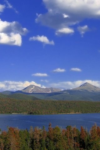 Обои облака, деревья, озеро, лес, clouds, trees, lake, forest разрешение 1920x1200 Загрузить