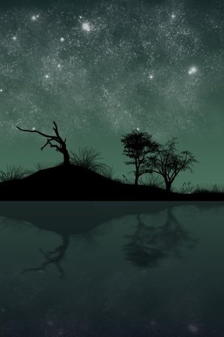 Обои свет, ночь, звезды, остров, месяц, light, night, stars, island, a month разрешение 1920x1200 Загрузить