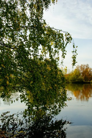 Обои озеро, отражение, осень, береза, lake, reflection, autumn, birch разрешение 1920x1200 Загрузить