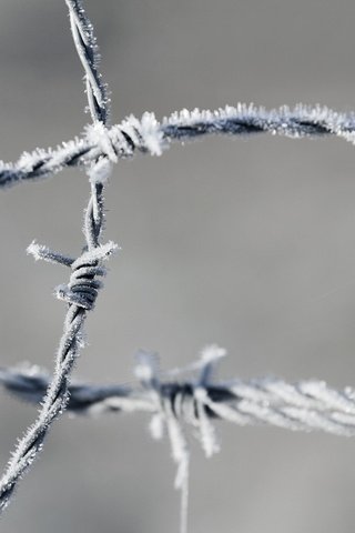 Обои мороз, проволока, иней, колючая проволока, frost, wire, barbed wire разрешение 1920x1200 Загрузить