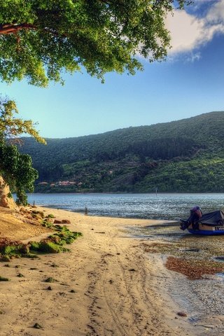 Обои деревья, вода, река, природа, берег, пейзаж, песок, лодка, trees, water, river, nature, shore, landscape, sand, boat разрешение 2560x1600 Загрузить