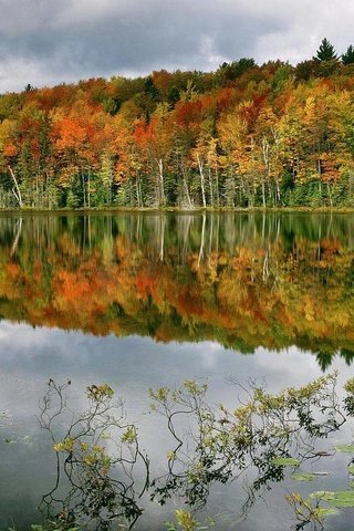 Обои деревья, вода, озеро, лес, отражение, осень, trees, water, lake, forest, reflection, autumn разрешение 1920x1080 Загрузить