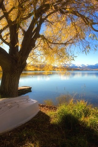 Обои новая зеландия, lake alexandrina, new zealand разрешение 1920x1200 Загрузить