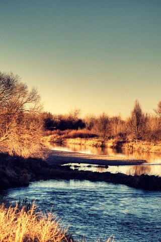 Обои река, осень, кустарник, river, autumn, shrub разрешение 1920x1200 Загрузить