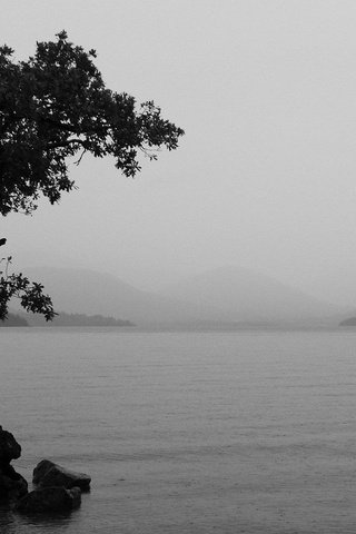 Обои озеро, природа, дерево, пейзаж, туман, чёрно-белое, lake, nature, tree, landscape, fog, black and white разрешение 1920x1080 Загрузить