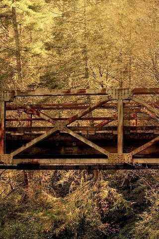 Обои лес, листья, мост, осень, южная каролина, forest, leaves, bridge, autumn, south carolina разрешение 1920x1080 Загрузить