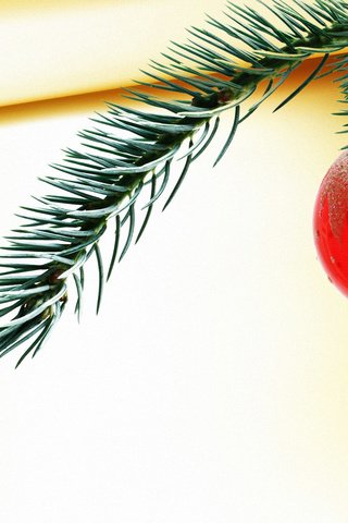 Обои новый год, елка, елочная игрушка, new year, tree, christmas toy разрешение 1920x1200 Загрузить