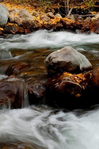 Обои река, природа, камни, листья, осень, river, nature, stones, leaves, autumn разрешение 1920x1080 Загрузить