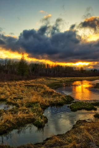 Обои трава, природа, болото, закат, тучи, grass, nature, swamp, sunset, clouds разрешение 2560x1600 Загрузить