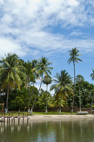 Обои небо, вода, пейзаж, пляж, пальмы, the sky, water, landscape, beach, palm trees разрешение 1920x1080 Загрузить