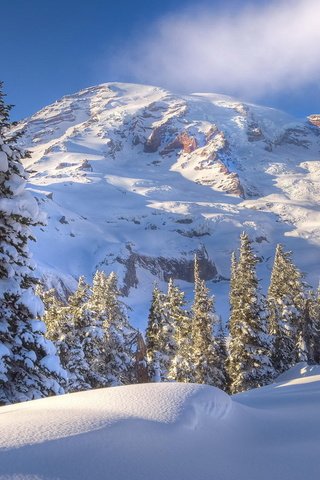 Обои деревья, горы, снег, зима, trees, mountains, snow, winter разрешение 1920x1080 Загрузить